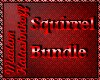 #OK# Squirrel Bundle