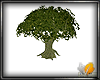 (ED1)BIG tree
