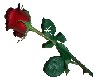 Tiny Rose Sticker