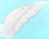 . Cupid | Wings