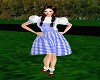 Dorothy Gale Dress