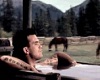ROBBIE WILLIAMS FEEL