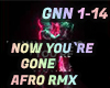 NOW YOU`RE GONE - AFRO
