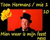 Toon Hermans