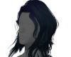 Prince Hair Raven