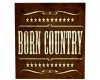Born Country Poster
