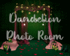 Dandelion Photo Room