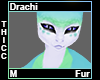 Drachi Thicc Fur M