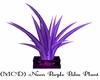 Neon Purple Palm Plant