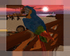OSP Macaw Parrot W/Sound