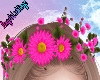 Crown Flower Fucsia