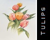 tulips on canvas