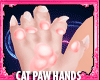 CAT PAW HAND KAWAII