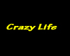 ~ScB~Crazy Life