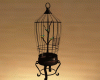 Bird cage anim NK
