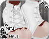 [Pets] Sneakers | White