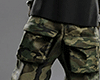 Camouflage Cargo