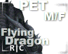 R|C Fly Dragon Green M/F