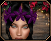 [ang]Poinsettia Crown