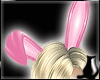 [CS] Pink & Fluffy Ears