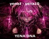 YENA DNA