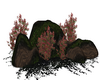 Dark Rocks