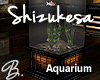 *B* Shizukesa Aquarium