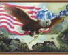 Eagle w/US Flag