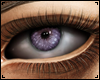 ☯| M/F eyes - Lavender