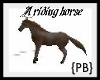 {PB}A Riding Horsewsound