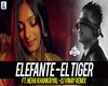 ELEFANTE - EL TIGER P