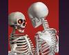 Skeletons SOUND Halloween Costumes Funny Dancing Monsters