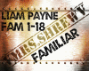 Liam Payne - Familiar