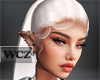 WCZ | Reagan white