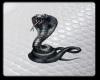 A Snake Oh A Snake