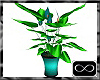 [CFD]FD Teal Plant