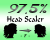 Head Scaler 97,5%
