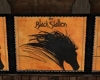 Black Stallion Club