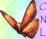 [CNL]Filler butterfly 1