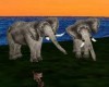 [DD] Safari Elephant