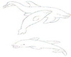 Animated Dolphin 07