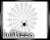 (KUK)halloween spider
