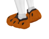 Citrus | Crazy Kicks !