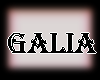 Galia Cheek Fluff