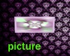 purple passion picture