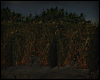 G|Grass 02
