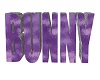 Bunny Name logo