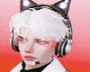 SXD Cat Headset Black