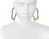 Gold Earrings 💍