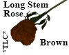 *TLC*LongStem Rose Brown
